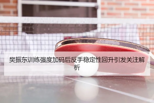 樊振东训练强度加码后反手稳定性回升引发关注解析