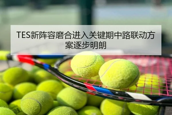 TES新阵容磨合进入关键期中路联动方案逐步明朗